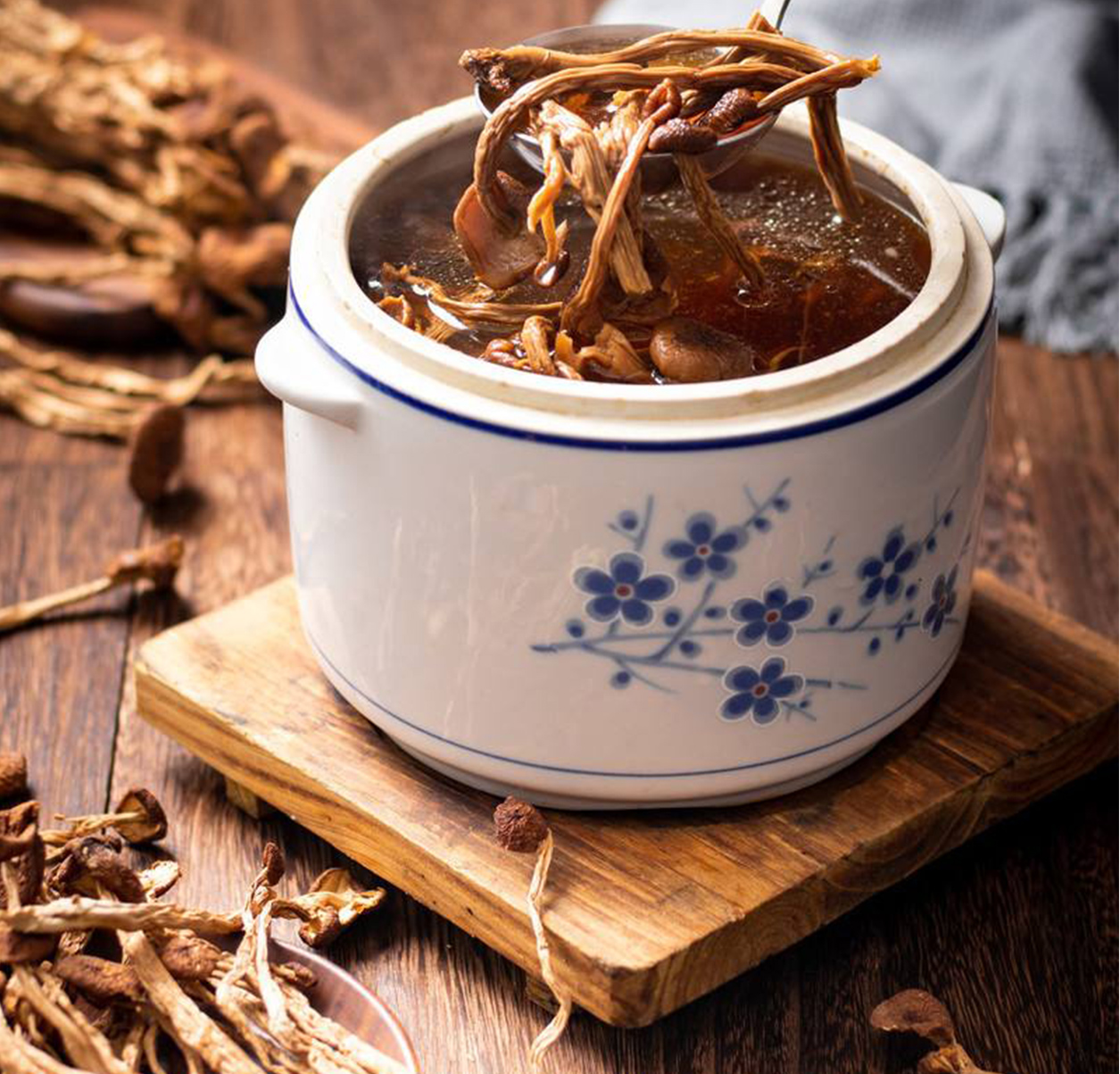 茶树菇