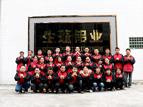 LSS- Corporate style