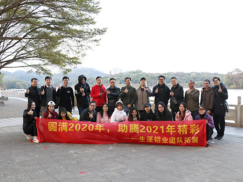 LSS - Team Development