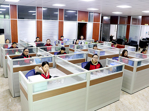 LSS - Office Environment