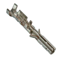 430300004