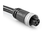 P28996-M10 